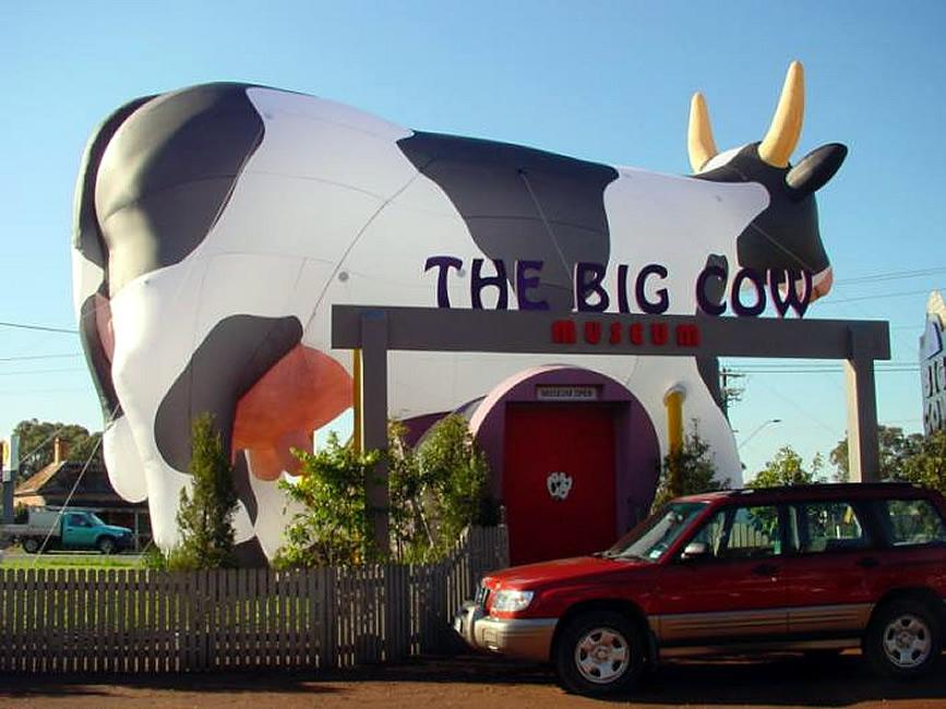 giant-cow-inflatable