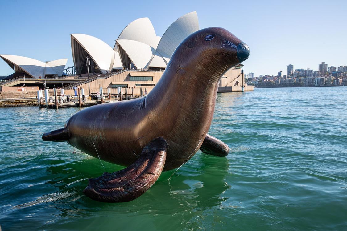 giant-inflatable-seal-sydney-opera-house