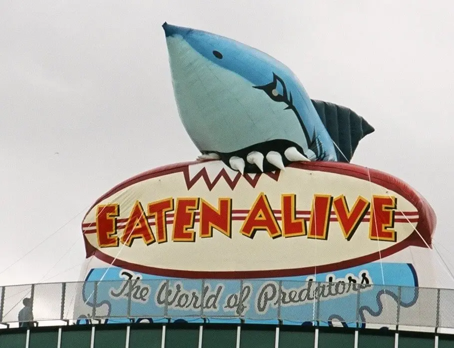 logo-brand-inflatable